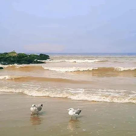 In Near Scenic Coastline, Cleaning Included 아파트 *